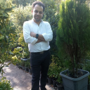 رضا محمدیان فرد