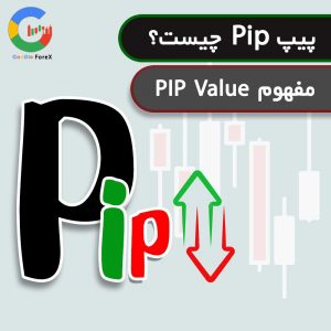 مفهوم PIP Value | پیپت PIPET