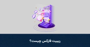 ریبیت فارکس چیست؟
