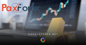 به منظور افتتاح حساب در بروکر PaxForex مراحلی وجود دارند که باید با دقت انجام شوند.