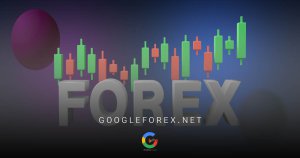 بروکر Exelium دو نوع بونوس معاملاتی دارد.
