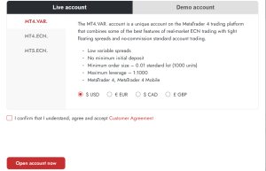 پس از تکمیل تمامی اطلاعات، بر روی گزینه Open account now کلیک کنید.