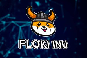 فلوکی  (FLOKI)