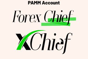 حساب PAMM بروکر فارکس چیف
