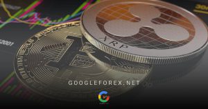 بهترین بروکرها برای معاملات فارکس و ارز دیجیتال
