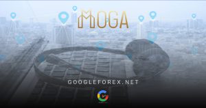 پشتیبانی بروکر موگا اف ایکس
