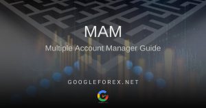 آیا بروکرهای دارای حساب MAM را می شناسید؟
