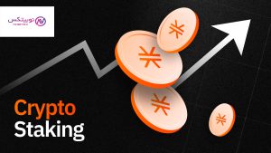 مراحل استیکینگ در نوبیتکس؛ ورود به بخش استیکینگ نوبیتکس