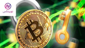 نکات مهم قبل از استیکینگ در نوبیتکس