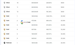 جوایز برخی از برندگان مسابقه قهرمانی معامله گران بروکر WM Markets در دور ششم (عکس دوم)